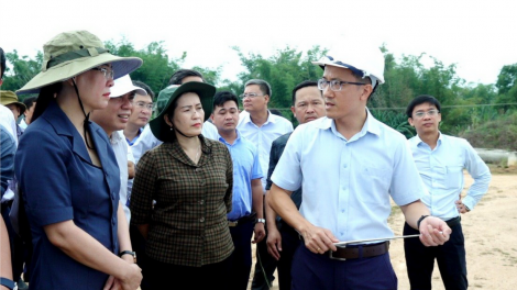 Bàn giao 100% mặt bằng cao tốc Quảng Ngãi - Hoài Nhơn trước ngày 30/6