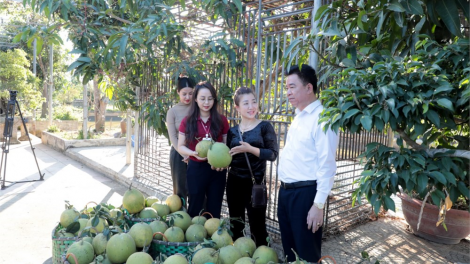 Trang trại phất lên nhờ ngân hàng (23/05/2024)