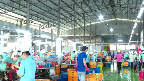 5 tháng đầu năm xuất khẩu của Vĩnh Long tăng trưởng mạnh (25/5/2024)