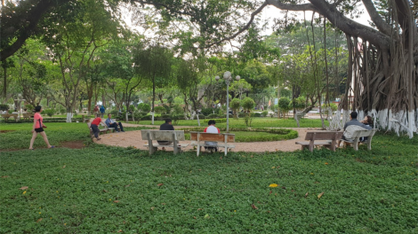 Công nhân xanh ở đô thị rừng Buôn Ma Thuột (10/5/2024)