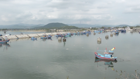 Luồng lạch cảng Mỹ Á bồi lấp, tàu thuyền ra vào khó khăn (14/5/2024)