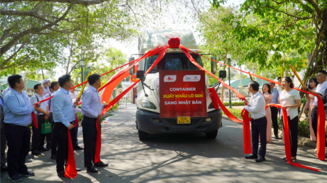 Đồng Tháp xuất khẩu lô củ sen đầu tiên sang Nhật Bản (07/5/2024)