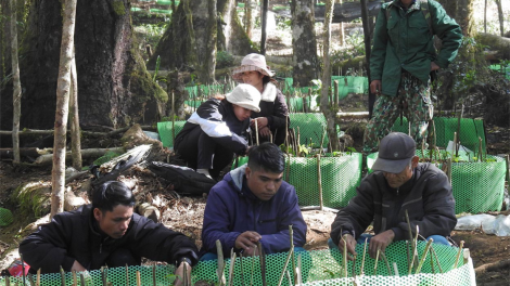 Kon Tum phát triển hàng trăm mô hình làm thay đổi nếp nghĩ, cách làm của đồng bào dân tộc thiểu số (03/5/2024)