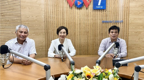 Bảo vệ môi trường tại các làng nghề theo Luật Bảo vệ Môi trường 2024 (29/4/2024)