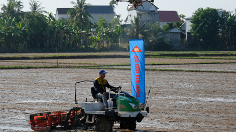 Đến bao giờ Miền Trung mới cơ giới hóa khi mà đồng ruộng manh mún? (24/5/2024)