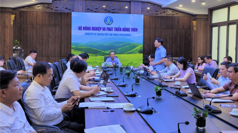 Chống khai thác IUU: bám sát các khuyến nghị của EC (21/5/2024)