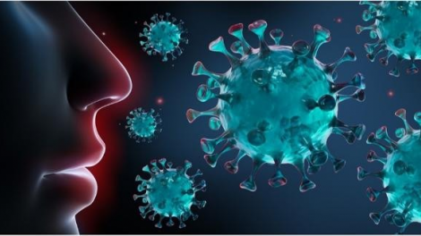 Bệnh ho gà bùng phát mạnh tại Anh, 5 trẻ em tử vong (10/05/2024)