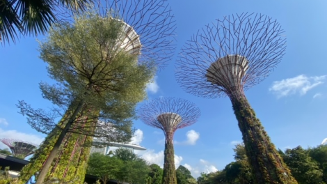 Kết nối hợp tác phát triển du lịch Việt Nam - Singapore (28/05/2024)