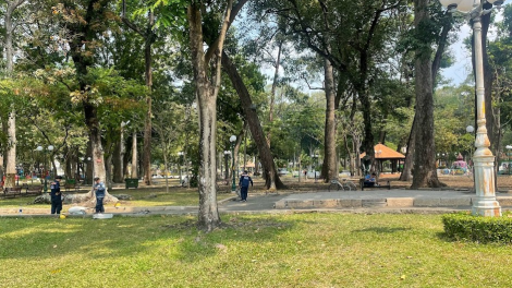 Hạn chế thấp nhất việc phải đốn hạ cây xanh để làm dự án (16/5/2024)