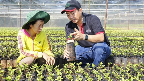 Tăng cường áp dụng nông nghiệp tái sinh, giảm phát thải khí nhà kính (15/5/2024)