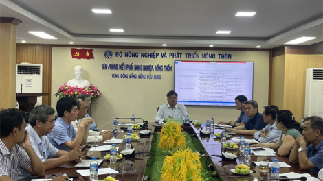 Triển khai mô hình thí điểm Đề án 1 triệu ha lúa chất lượng cao, phát thải thấp ở 5 địa phương (02/5/2024)