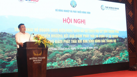 Tín chỉ các - bon rừng tiềm năng và lợi ích (14/05/2024)