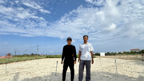 Những người mang lại trong lành cho đảo Lý Sơn, tỉnh Quảng Ngãi (28/5/2024) CHƯA ÂM THANH
