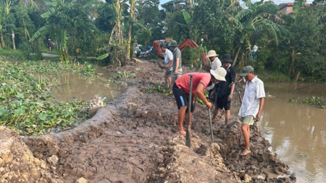 Huyện Chợ Lách (Bến Tre): khẩn trương khắc phục các điểm sạt lở ven sông (28/06/2024)