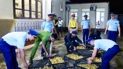 Giải pháp ngăn chăn nhập lậu động vật (11/06/2024)