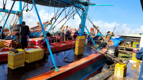 Tiền Giang: Trong thời gian dài không có tàu cá nào vi phạm IUU (04/06/2024)