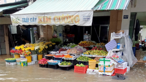ĐBCSL: Giải pháp ứng phó với triều cường và mưa lớn (25/06/2024)