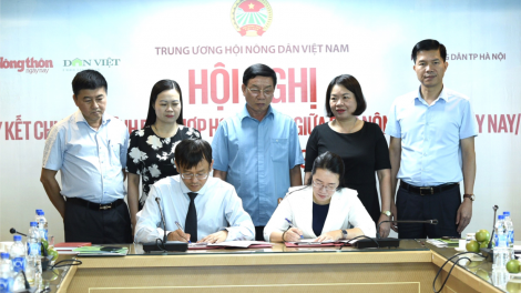 Hà Nội: hỗ trợ nông dân liên kết sản xuất và chuyển đổi số (12/6/2024)