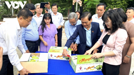 Bài toán liên kết trong sản xuất nông nghiệp (28/06/2024)