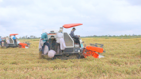 Việt Nam đứng trước cơ hội lớn để trở thành hình mẫu về kinh tế tuần hoàn (17/6/2024)