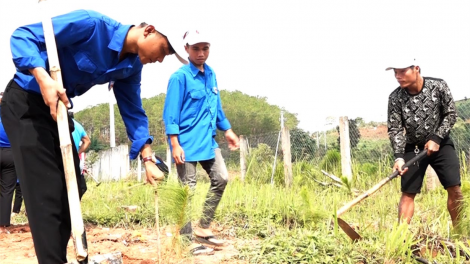 Người dân Kon Tum tự bỏ tiền trồng hàng nghìn ha rừng (5/6/2024)