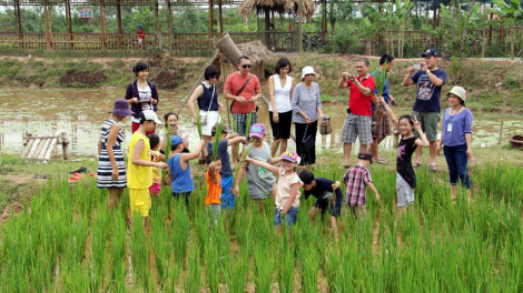 Thách thức và cơ hội phát triển du lịch nông nghiệp, nông thôn (24/06/2024)