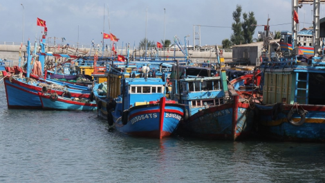 Ngư dân lo lắng việc di dời tàu cá neo đậu ở cảng Quy Nhơn về đầm Đề Gi (25/6/2024)