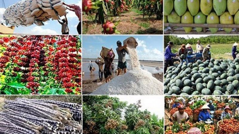 Xuất khẩu nông sản, điểm sáng trong bức tranh kinh tế nửa đầu năm 2024 (17/06/2024)