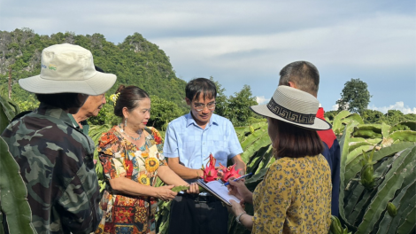 Nhà khoa học cùng nông dân xây đắp những mùa vàng bội thu (18/07/2024)