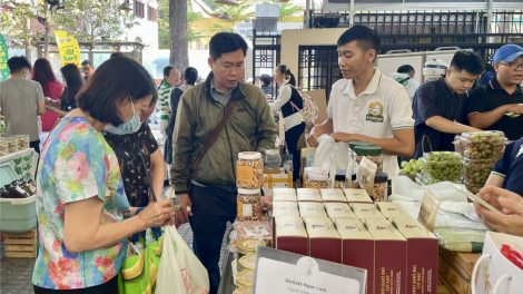 Tăng trưởng kinh tế đang chậm lại, đầu tàu TP.HCM tìm cách tháo gỡ (02/7/2024)