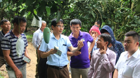 Gắn kết nhà khoa học với nông dân, cùng xây đắp những mùa vàng bội thu (20+21/07/2024)