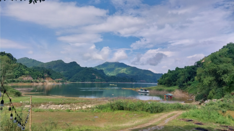 Hòa Bình Phát triển rừng bền vững( 19/07/2024)