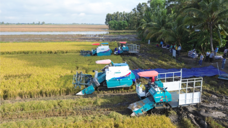 Tổng Bí thư Nguyễn Phú Trọng kỳ vọng ĐBSCL phát huy khí phách anh hùng “Thành đồng Tổ quốc" (21/07/2024)