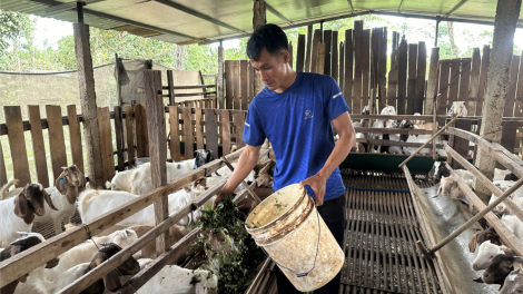 Thị xã Quế Võ, tỉnh Bắc Ninh chú trọng phát triển đảng viên (09/7/2024)