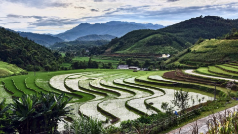 Tết “Khoăn vài”- gọi vía trâu của người Tày – Nùng (09/07/2024)