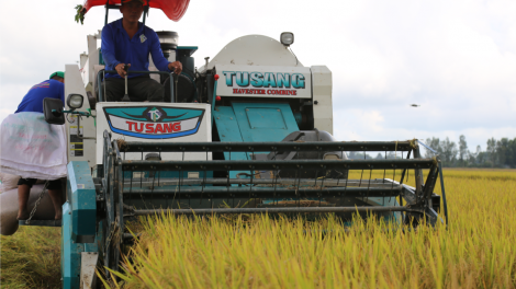 Đề án 1 triệu hecta lúa tại ĐBSCL sẽ nâng cao đời sống, thu nhập của người dân trồng lúa (10/07/2024)