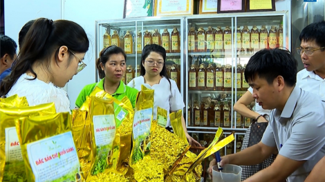 Yên Bái đẩy mạnh xây dựng chuỗi liên kết tiêu thụ sản phẩm OCOP  (30/7/2024)