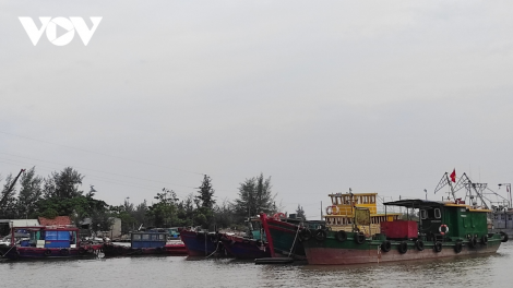 THỜI SỰ 12H TRƯA 22/7/2024: Hơn 47.000 tàu, thuyền được hướng dẫn phòng, tránh bão số 2. Hải Phòng, Quảng Ninh cấm biển từ 12h trưa nay.