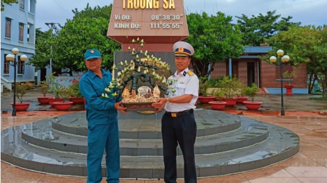 Cây hoa ốc cổ thụ- món quà đặc biệt từ Trường Sa gửi tặng Tổng Bí thư Nguyễn Phú Trọng Thứ sáu (26/07/2024)