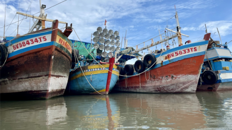 Chống khai thác IUU, vẫn còn tàu cá mất kết nối (10+11/07/2024)