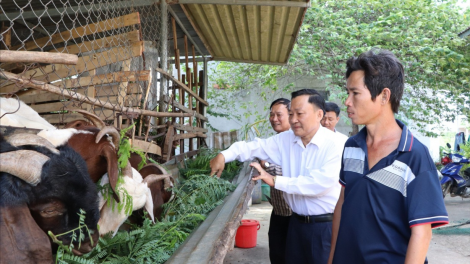 Cùng cảm nhận sự hài lòng và hạnh phúc của người dân ở “thôn, ấp thông minh” huyện Châu Đức, tỉnh Bà Rịa – Vũng Tàu (29/7/2024)