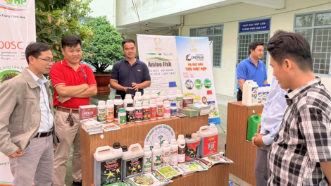 Sản xuất an toàn hướng đến nền nông nghiệp xanh, sinh thái (27/7/2024)