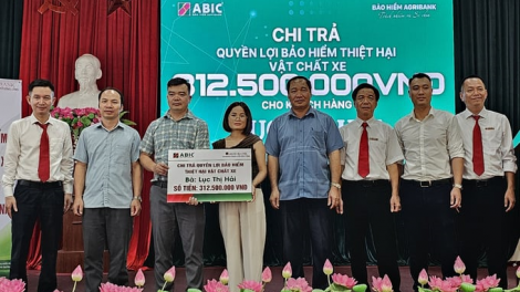 Cả nhà 5 người thoát chết thần kỳ khi ô tô lao xuống vực sâu 70 m (02/07/2024