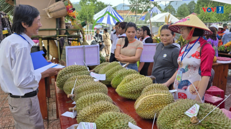 Khánh Hòa tổ chức Lễ hội trái cây, tìm đầu ra cho nông sản (11/08/2024)