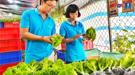 Chính sách nào để phát triển nông nghiệp theo hướng đa giá trị? (04/8/2024)