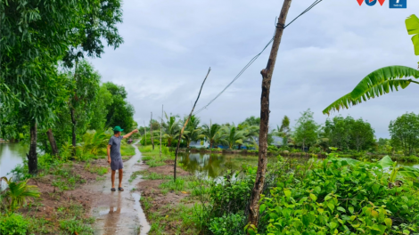 Cà Mau: Nỗi khổ của hơn 100 hộ dân ở phường phải dùng điện nhờ từ xã khác (2/8/2024)