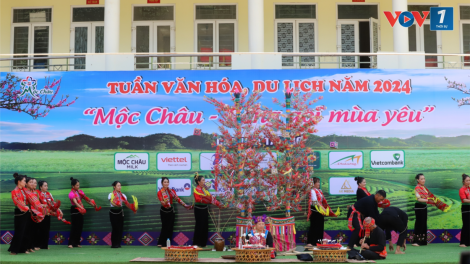 Cao nguyên Mộc Châu tưng bừng đón tết Độc lập (31/8/2024)