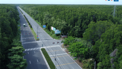 Tín chỉ carbon rừng Cần Giờ - làm thế nào, bán cho ai? (31/8/2024)