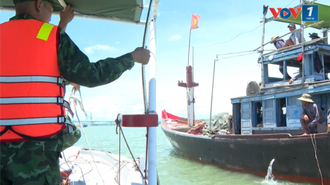 Quảng Nam khẩn trương đăng ký, cấp phép cho tàu cá “3 không” (29/8/2024)