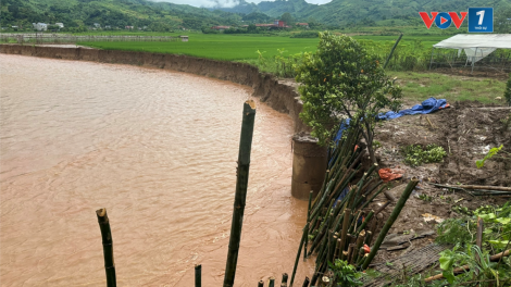 Mưa lớn ảnh hưởng diện rộng, Sơn La tiếp tục các phương án ứng phó (11/8/2024)